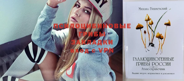 сатива Верхнеуральск