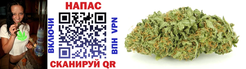 наркота Ярославль blacksprut маркетплейс МАРИХУАНА White Widow
